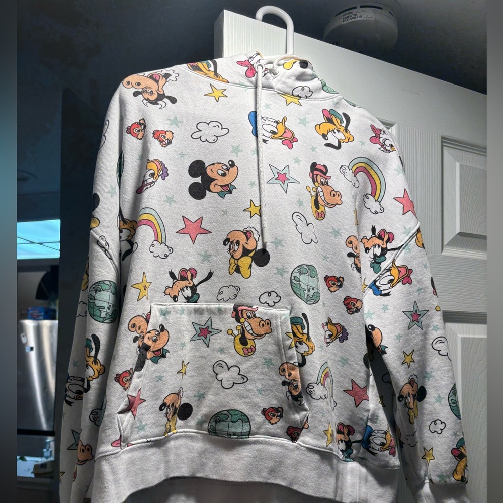 Disney Parks Sweater Hoodie Size Small